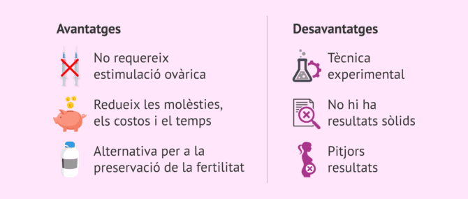 Imagen: Beneficis i desavantatges de la MIV