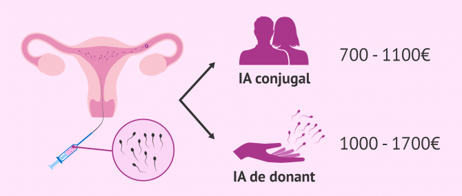 Imagen: Preu de la inseminació artificial conjugal i de donant