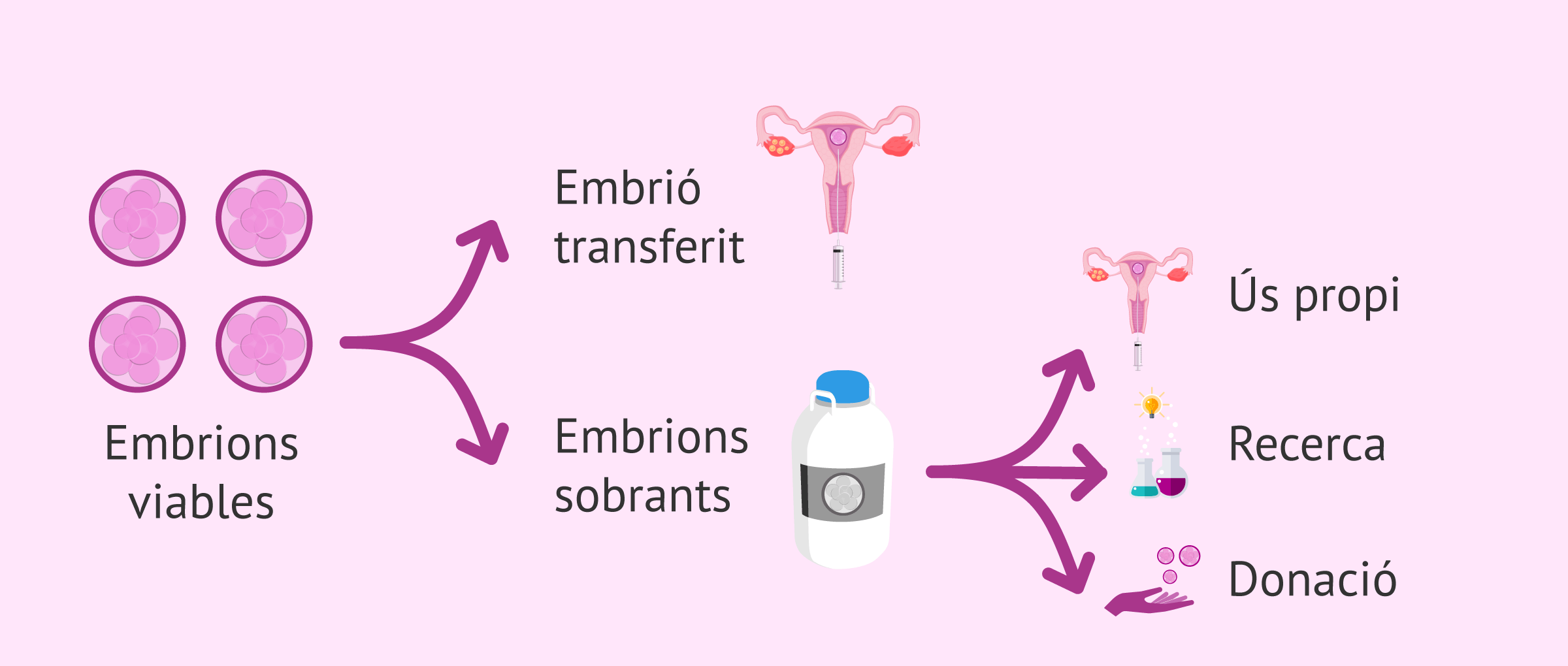 Opcions per als embrions viables d'una FIV