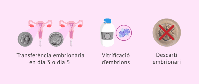 Imagen: Opcions durant el cultiu embrionari