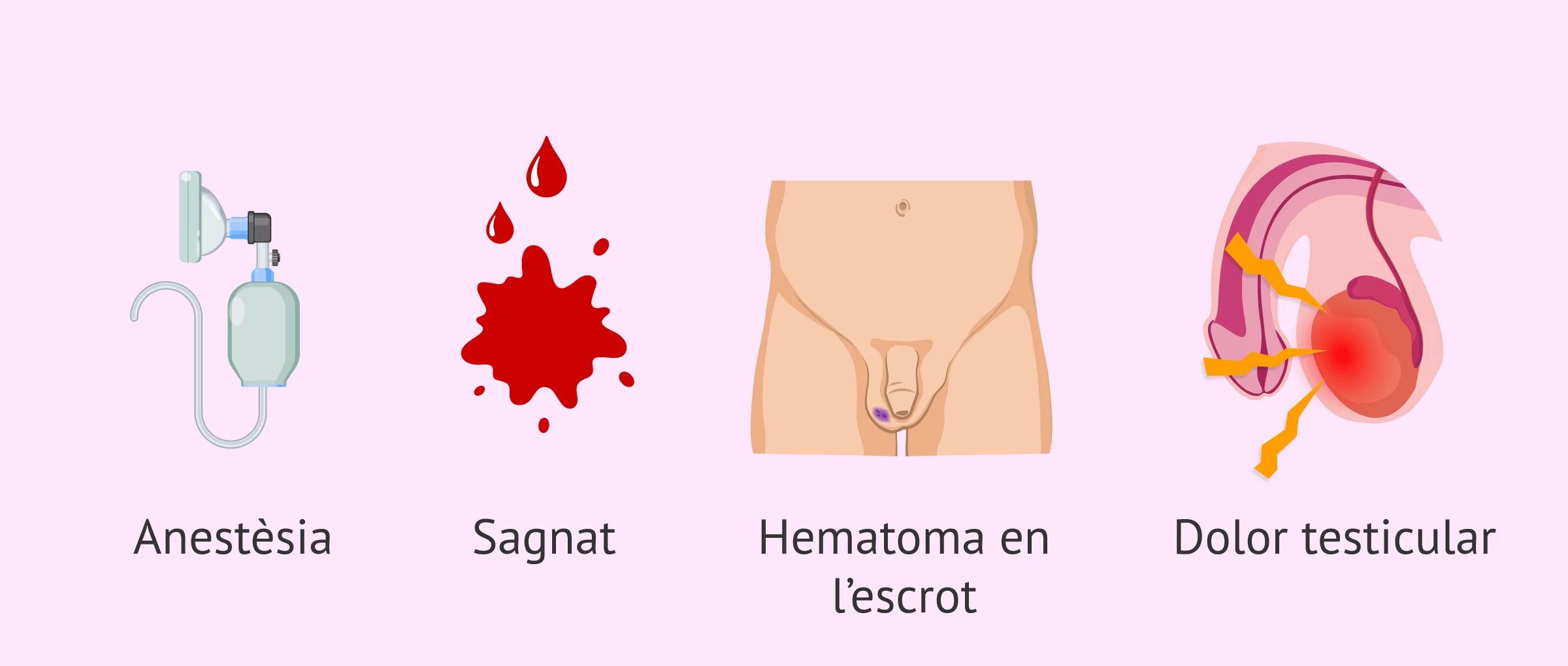 Imagen: Quins són els riscos de la biòpsia testicular?