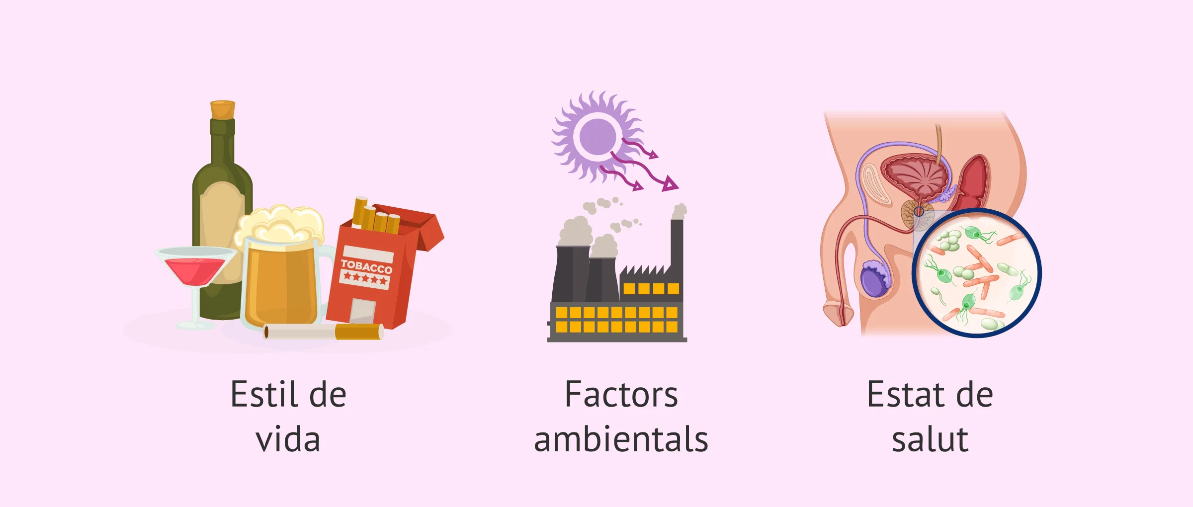 Imagen: Causes de l'estrès oxidatiu en el semen