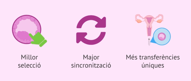Imagen: Avantatges de transferir blastocists
