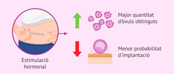 Imagen: L'estimulació hormonal afecta la qualitat endometrial