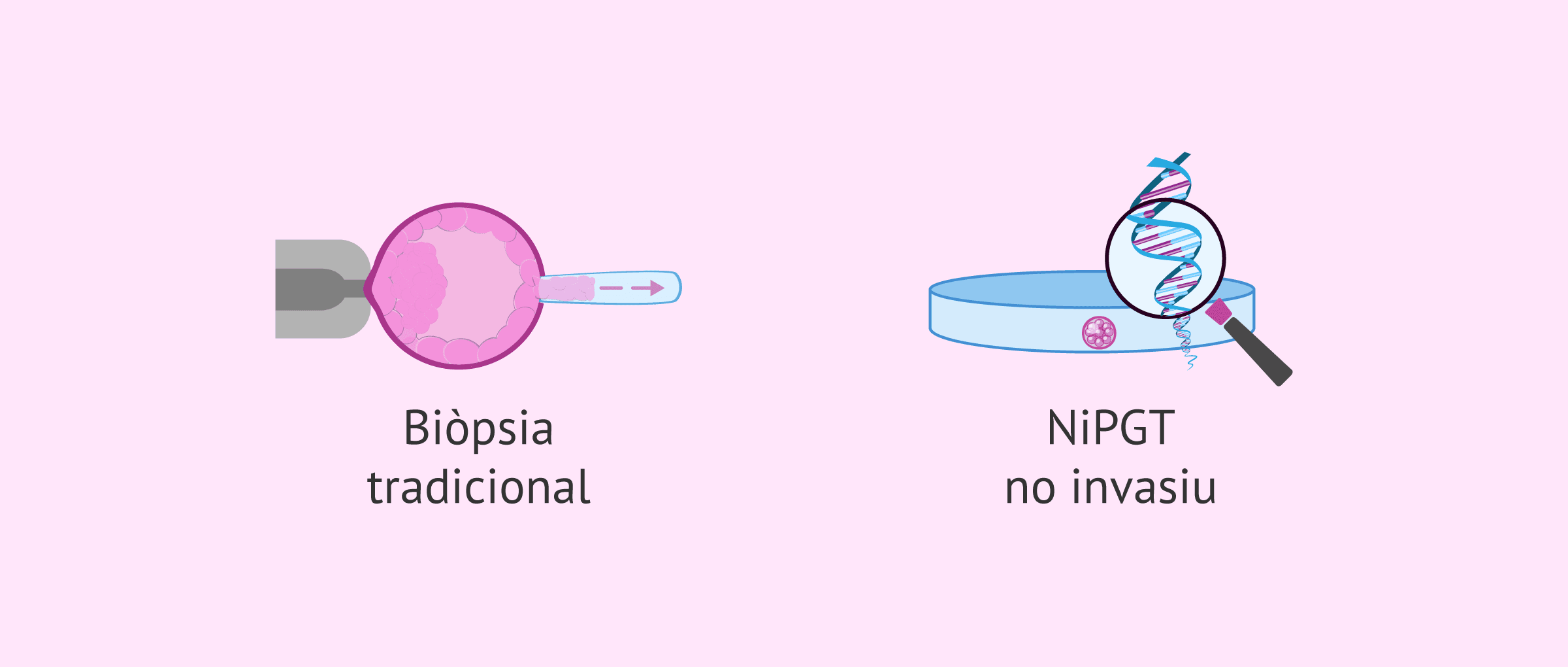Avenços en el test genètic preimplantacional no invasiu (niPGT)