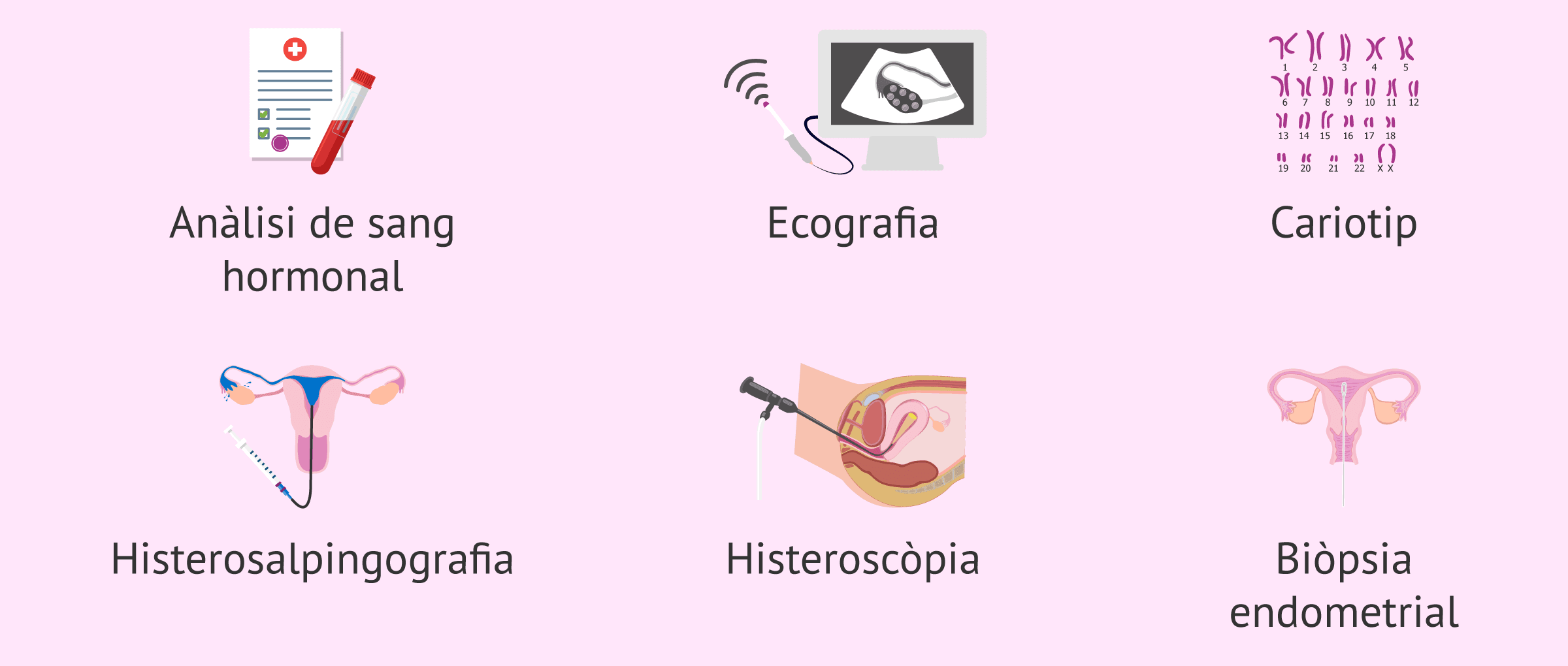 Imagen: Proves en l'estudi de fertilitat de la dona