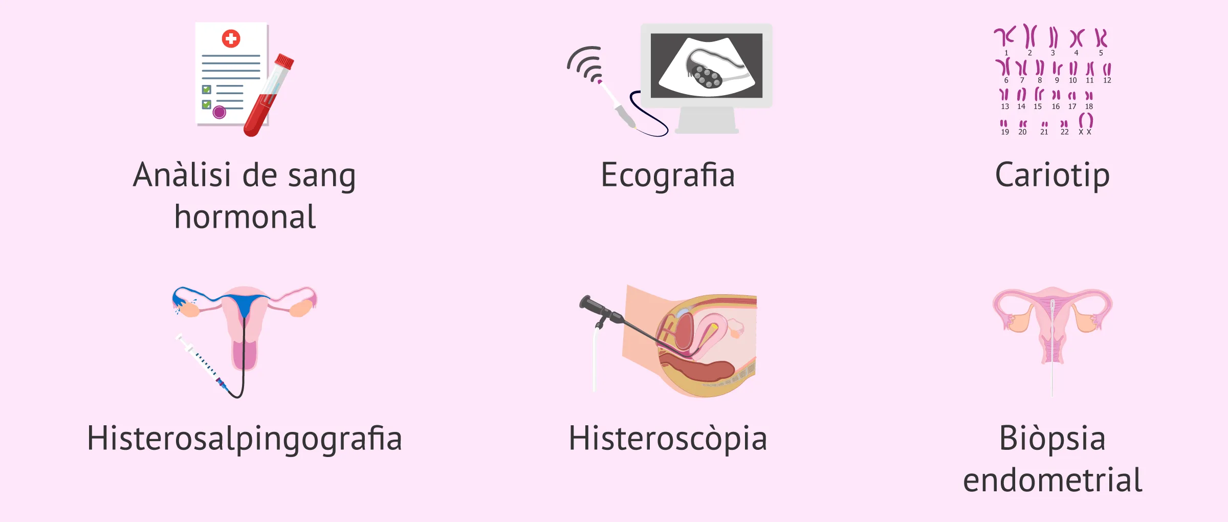 Imagen: Proves en l'estudi de fertilitat de la dona