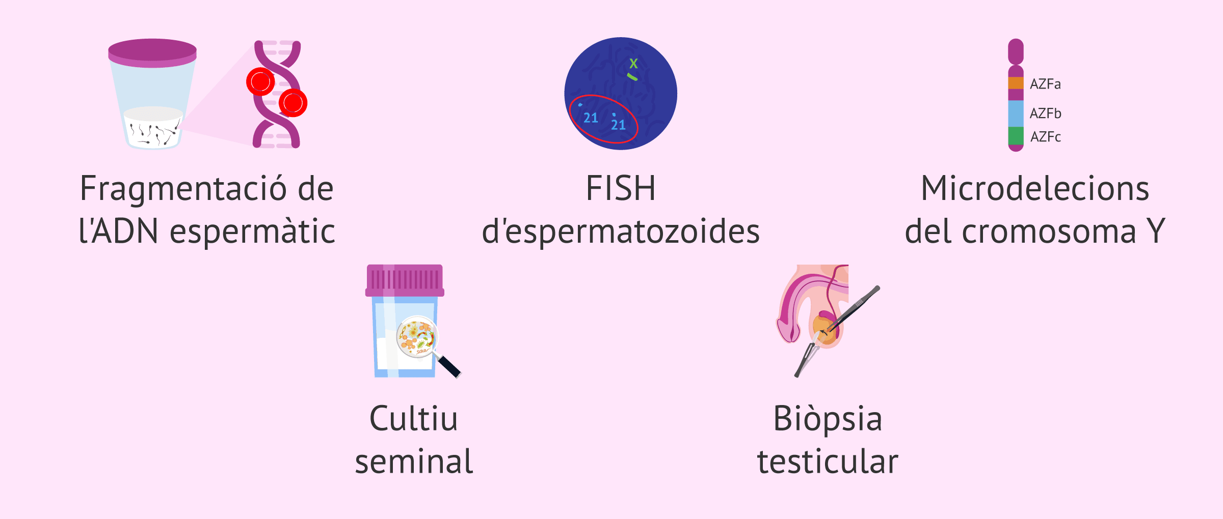 Imagen: Proves addicionals de fertilitat masculina