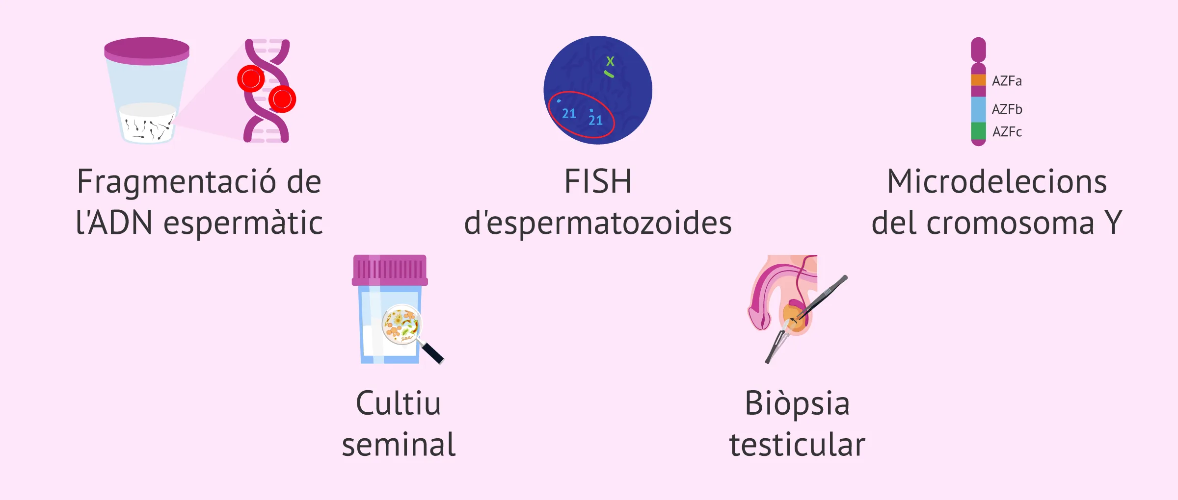 Imagen: Proves addicionals de fertilitat masculina