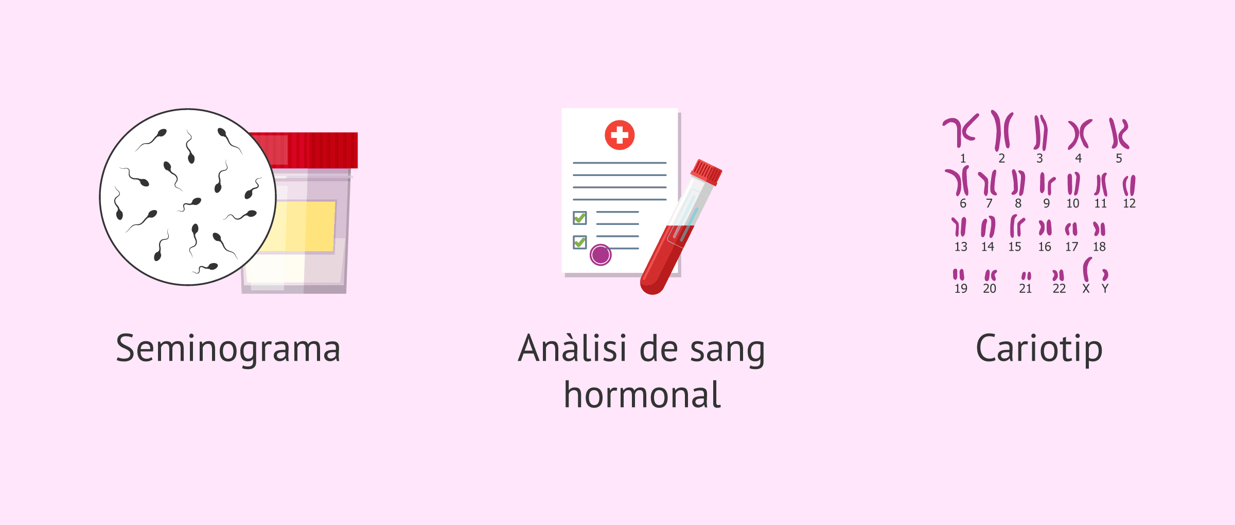 Imagen: Proves en l'estudi de fertilitat de l'home