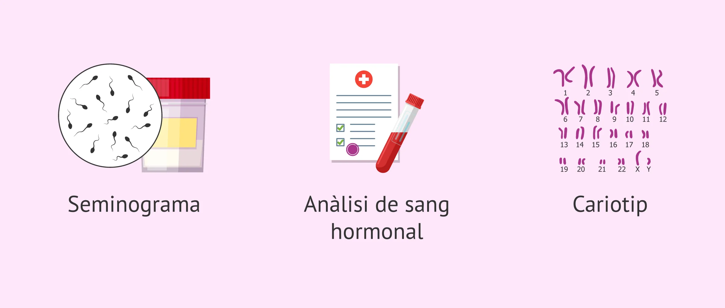 Imagen: Proves en l'estudi de fertilitat de l'home