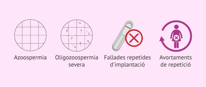 Imagen: Quan és necessari fer un cariotip?