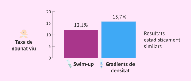 Imagen: Resultats amb swim-up i amb gradients de densitat