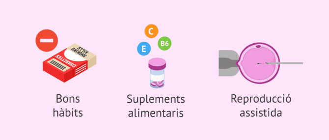 Imagen: Possible tractament de la morfologia espermàtica alterada