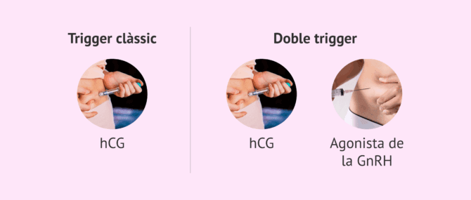 Imagen: És millor el doble trigger en reproducció assistida?