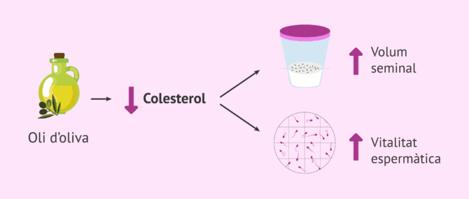 Imagen: Com influeix l'oli d'oliva en la fertilitat de l'home?