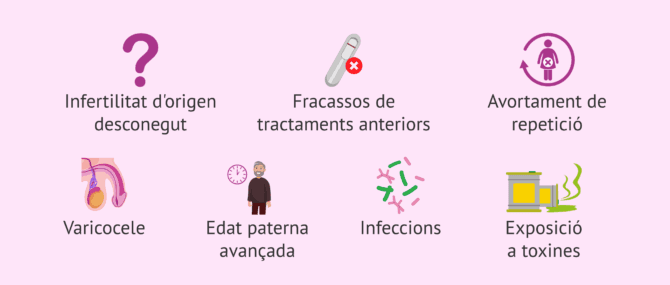 Imagen: Quan mesurar la fragmentació de l'ADN espermàtic?