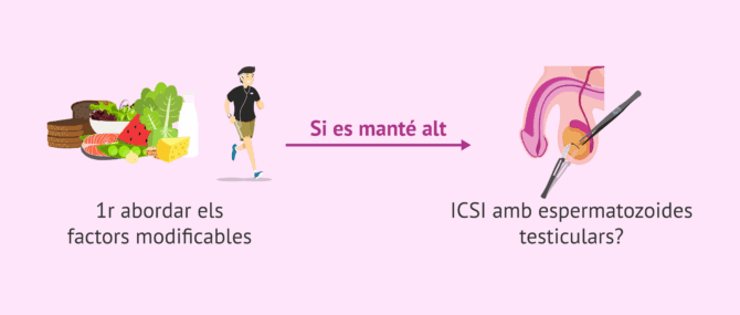 Imagen: Maneig de la fragmentació en l'ADN espermàtic
