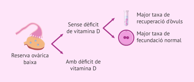 Imagen: Resultats de FIV amb baixa reserva ovàrica i dèficit de vitamina D