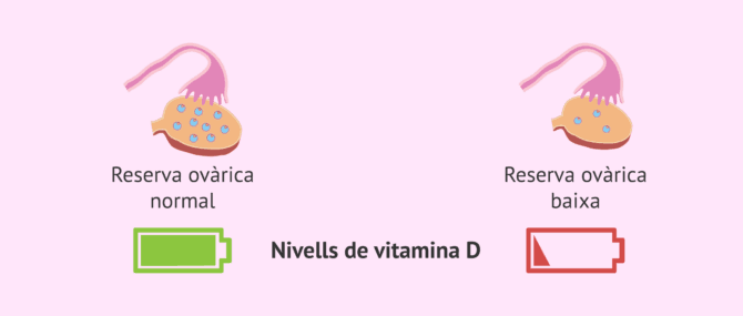 Imagen: Nivells de vitamina D i reserva ovàrica