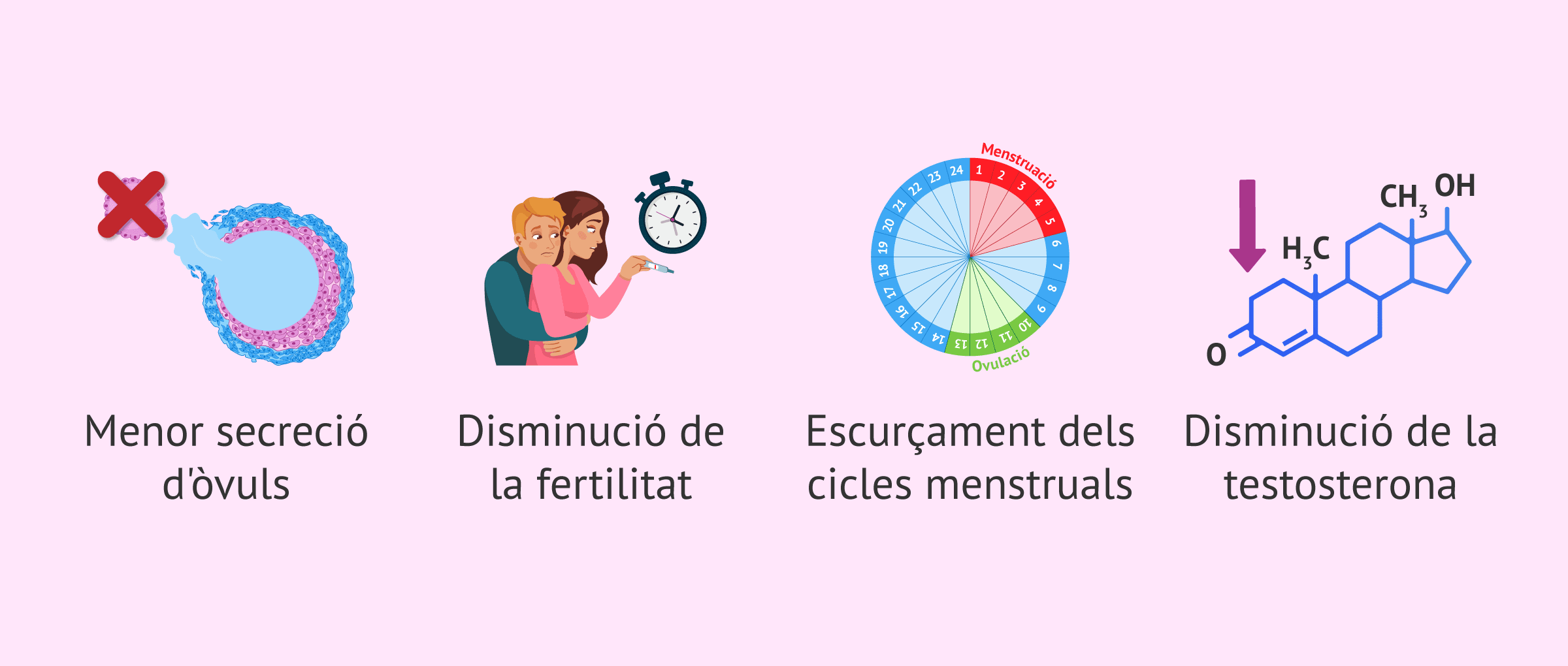 Imagen: Canvis en l'organisme durant la perimenopausa