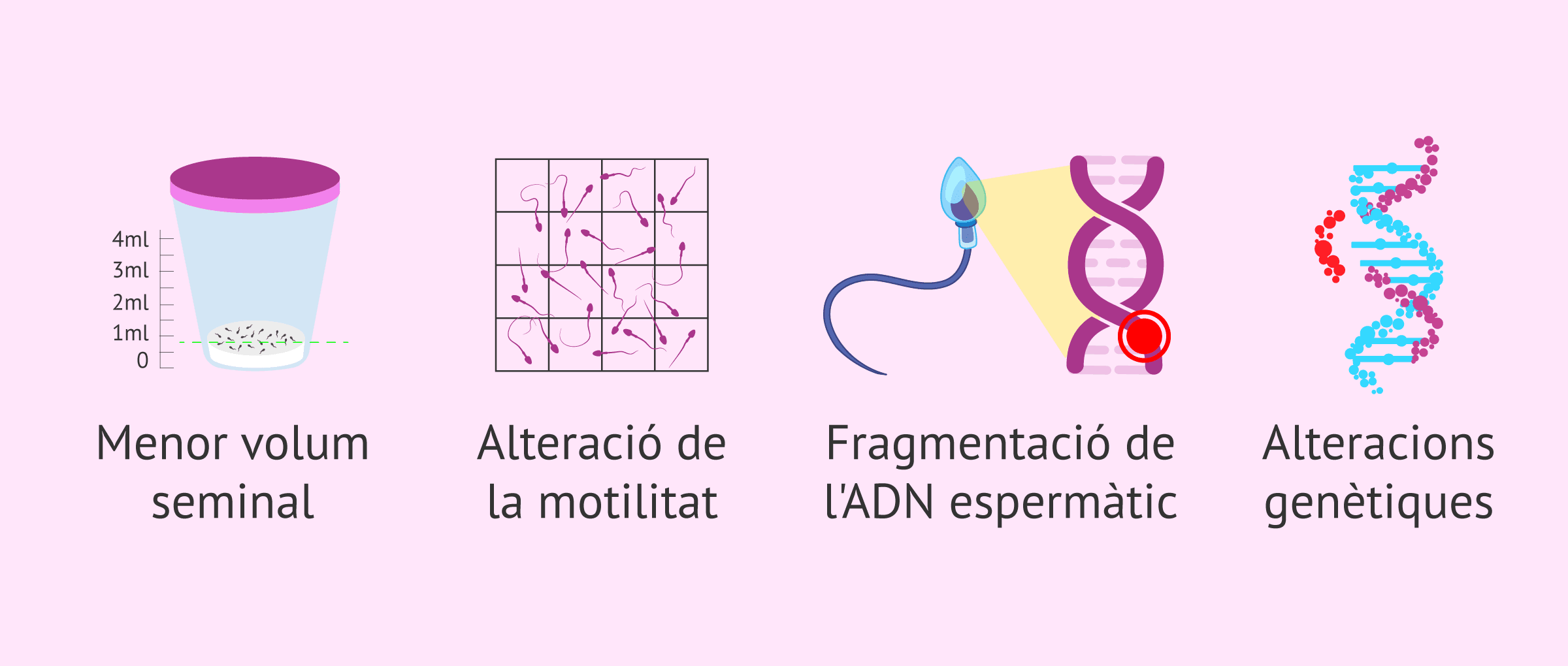 Imagen: Efecte de l'edat sobre la qualitat del semen