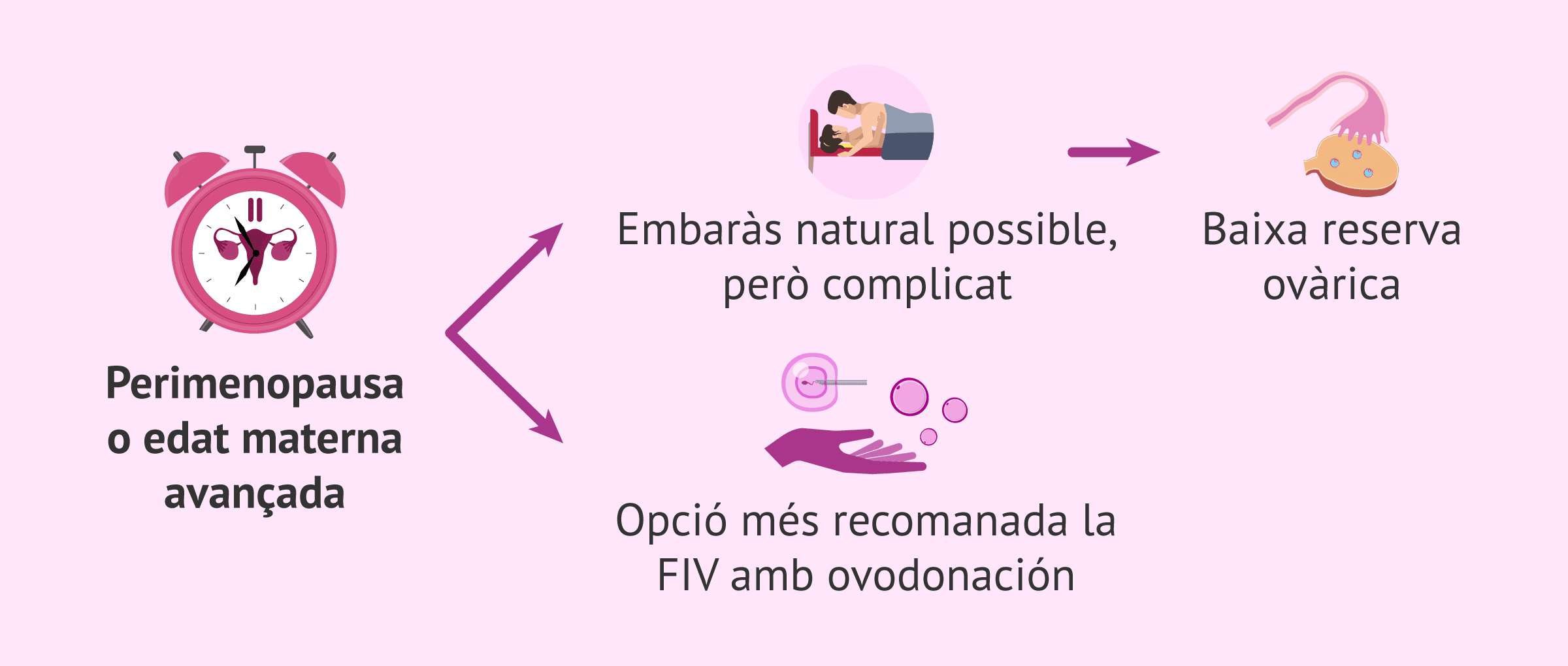 Imagen: Possibilitat d'embaràs en la perimenopausa