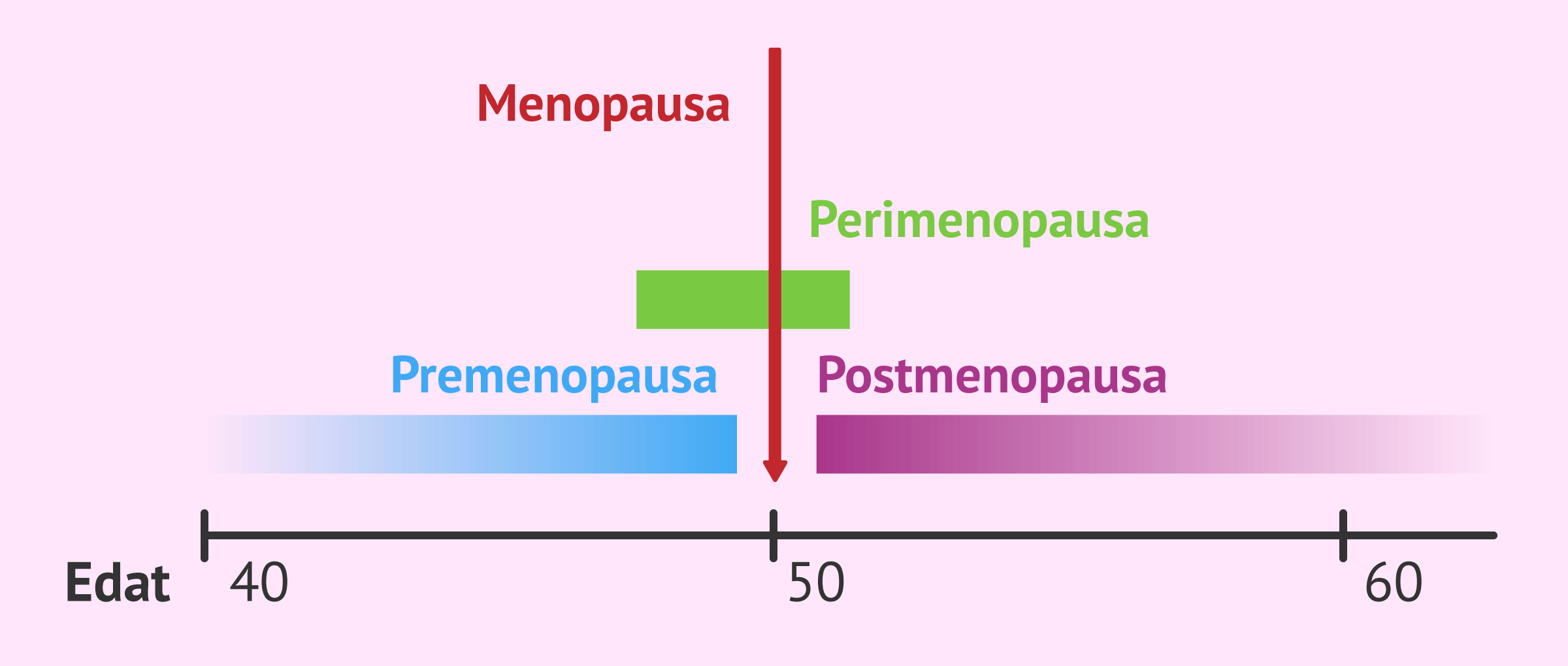 Imagen: Diferència entre premenopausa i perimenopausa